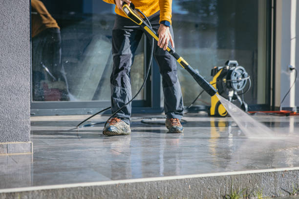 Best Gutter Cleaning  in Oak Grove, MN